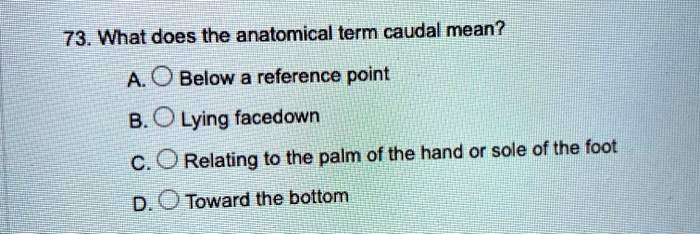 SOLVED: What does the anatomical term caudal mean? A. Below a reference