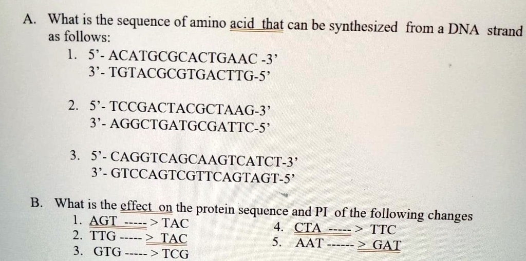 SOLVED A What is the sequence of amino acid_that can be synthesized