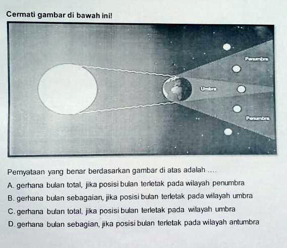 SOLVED: Tlong Jwb Mau Dikumpul Sekarang Cermati Gambar Di Bawah Inil ...