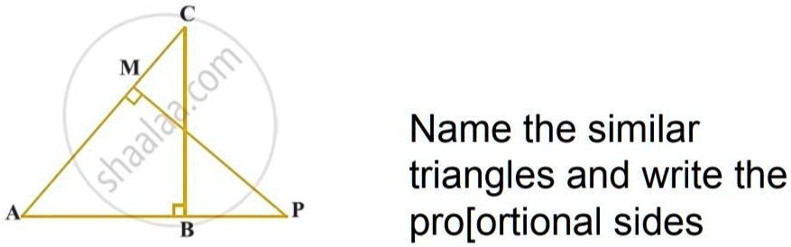 Name the similar triangles and write the proportional sides