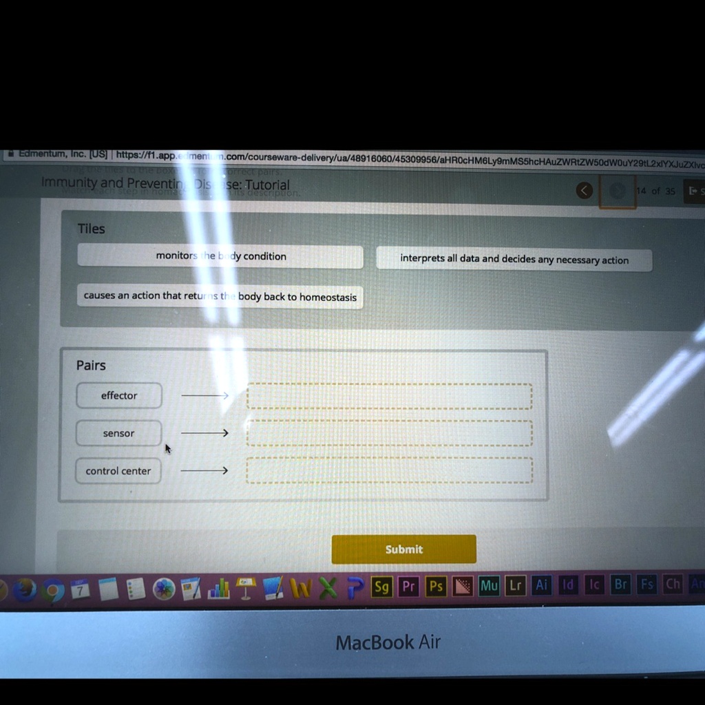SOLVED Match each step in homeostasis. Edmentum, Inc [US] https//f1