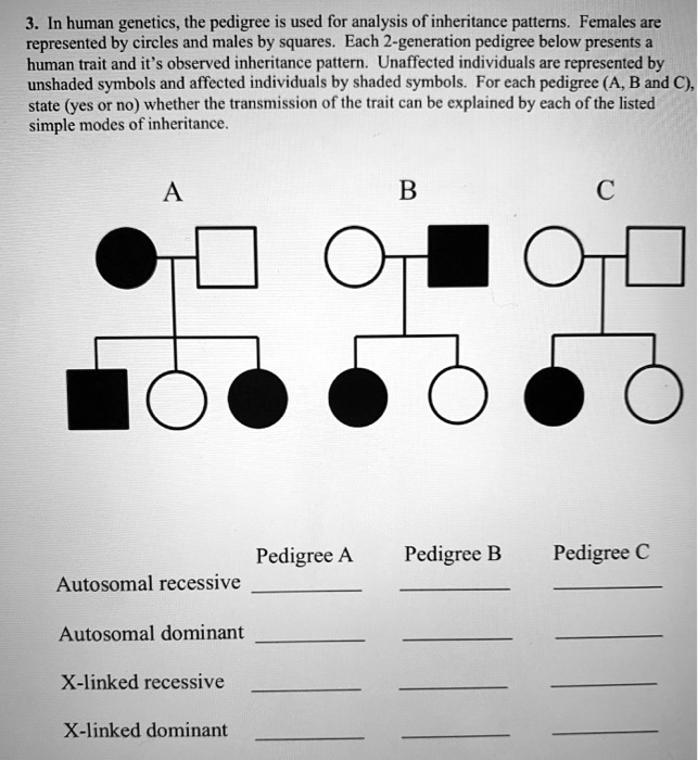 SOLVED: In human genetics, the pedigree is used for analysis of ...