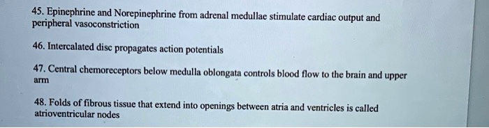 Video Solution: 45. Epinephrine And Norepinephrine From Adrenal Medulla 