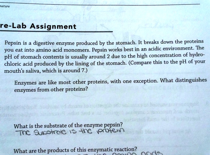 SOLVED nature reLab Assignment Pepsin is a digestive enzyme produced