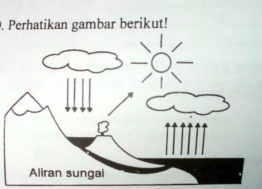 Solved Apabila Aliran Air Sungai Terhambat Maka Siklus Air Pun Akan Terganggu Coba Kamu 6482