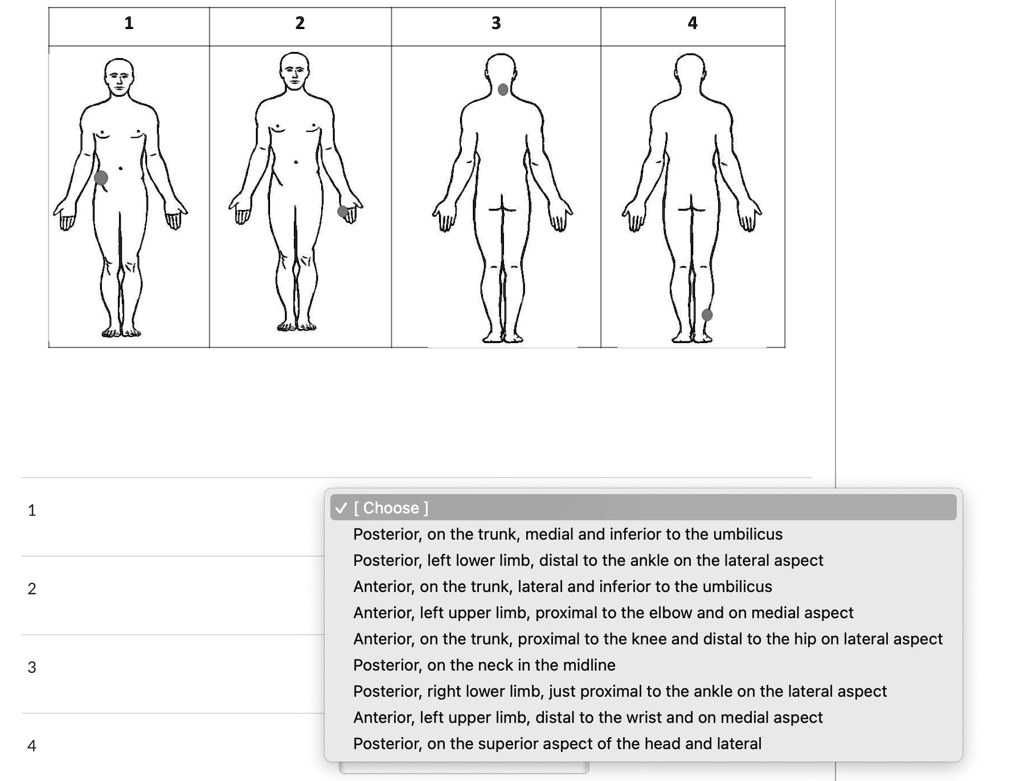 1 2 3 4 choose posterior on the trunkmedial and inferior to the ...
