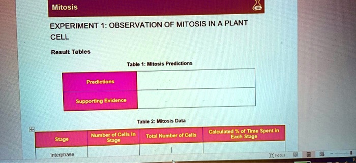 experiment 1 observation of mitosis in a plant cell