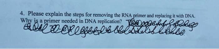 4. Please explain the steps for removing the RNA primer and replacing it with DNA.
Why is a primer needed in DNA replication?