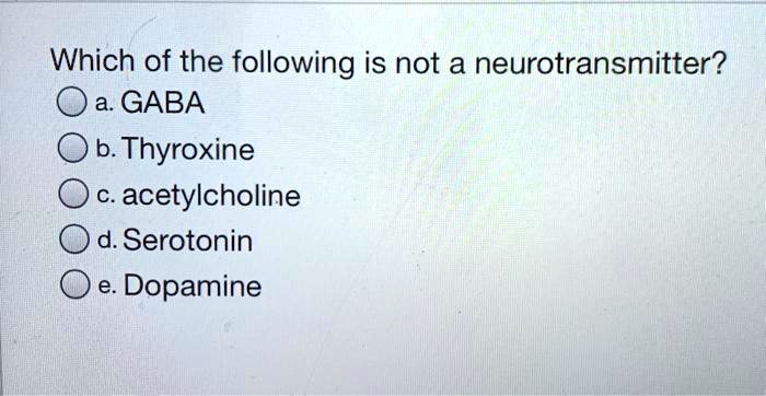 Which of the following is not a neurotransmitter?
a. GABA
b. Thyroxine
c. acetylcholine
d. Serotonin
e. Dopamine