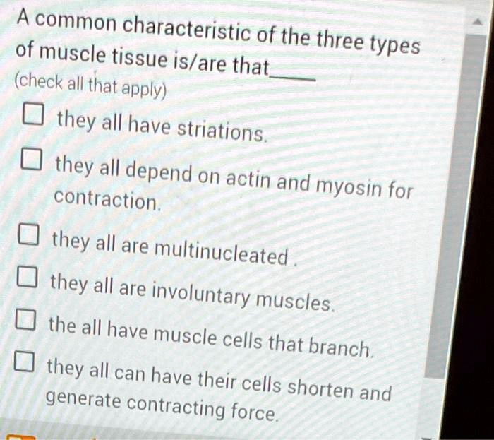A common characteristic of the three types
of muscle tissue is/are that
(check all that apply)
they all have striations.
they all depend on actin and myosin for
contraction.
they all are multinucleated.
they all are involuntary muscles.
the all have muscle cells that branch.
they all can have their cells shorten and
generate contracting force.