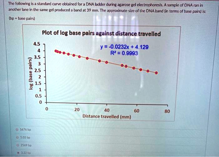 SOLVEDThe following is a standard curve obtained for a DNA ladder