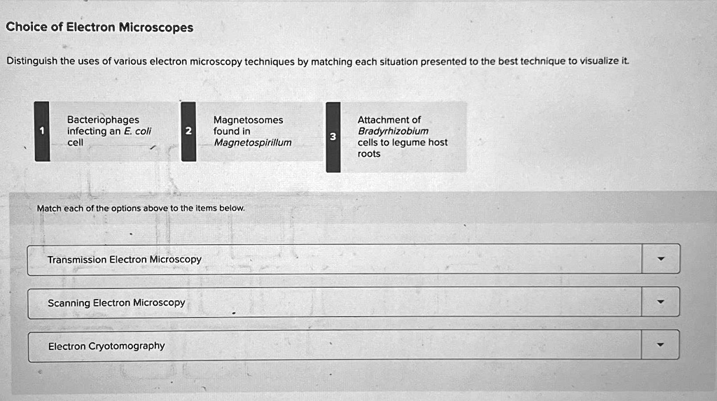 SOLVED: 1 - Transmission Electron Microscopy 2 - Scanning Electron ...
