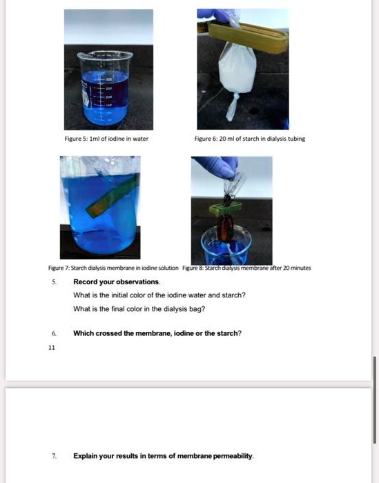 Figure 5: 1ml of iodine in water Figure 6: 20 ml of starch...