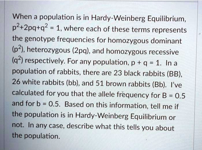 solved-when-a-population-is-in-hardy-weinberg-equilibrium-p2-2pq-q2-1