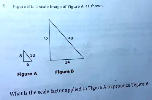 SOLVED: Figure B Is Scale Image Of Figure A,as Shown: Figure A Figure B ...