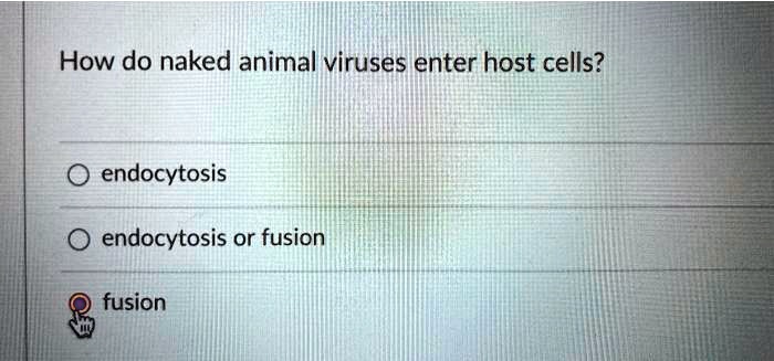 How do naked animal viruses enter host cells?
endocytosis
endocytosis or fusion
fusion