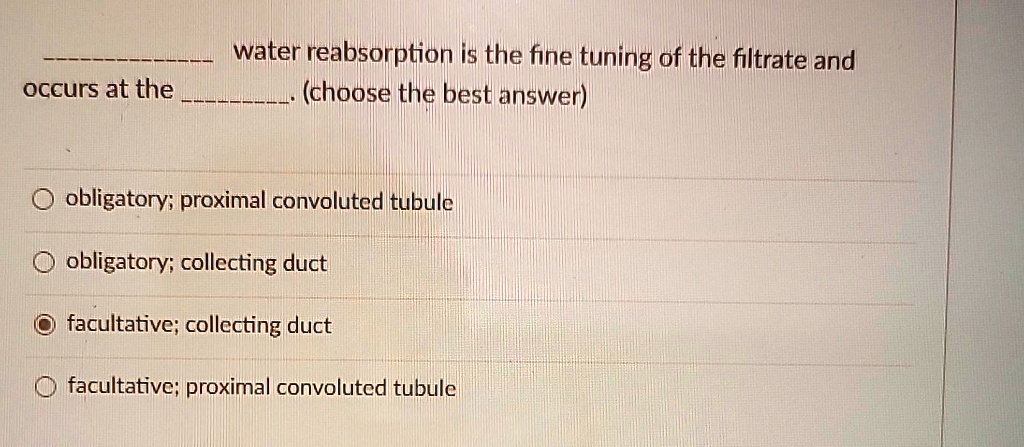 VIDEO solution: water reabsorption is the fine tuning of the filtrate