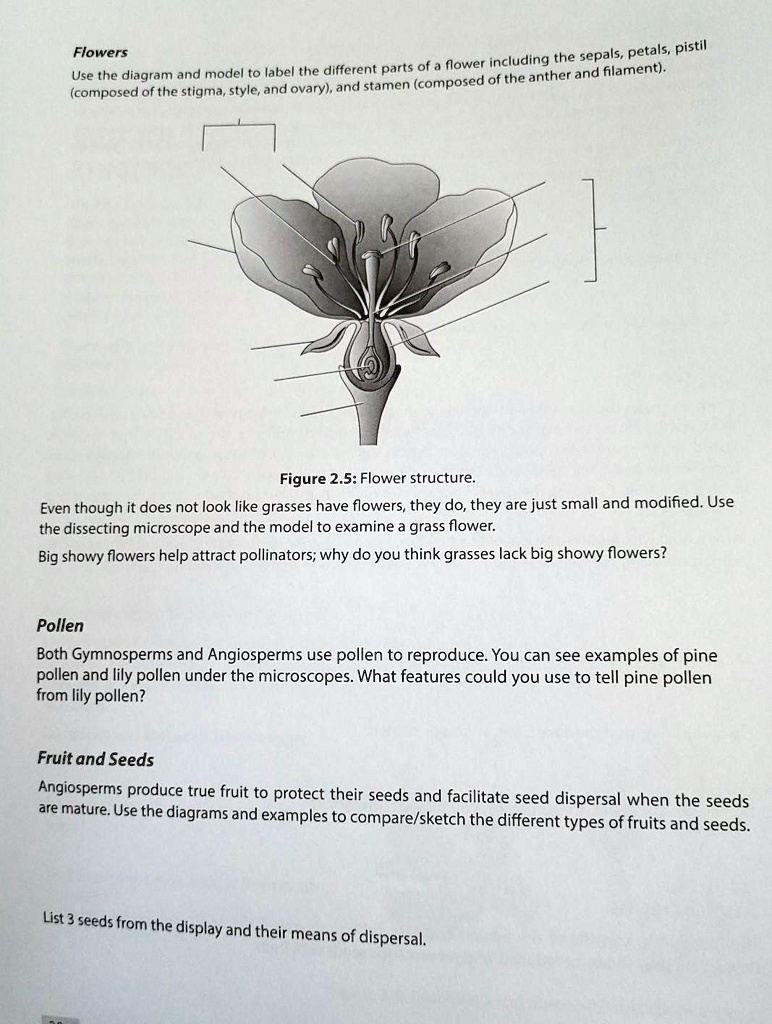 solved-flowers-petals-pistil-including-the-sepals-use-the-diagram-and