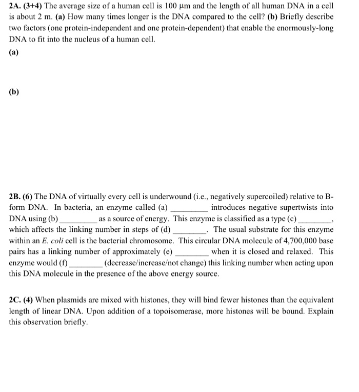 SOLVED: 2A. (3+4) The average size of a human cell is 0.004m and the ...