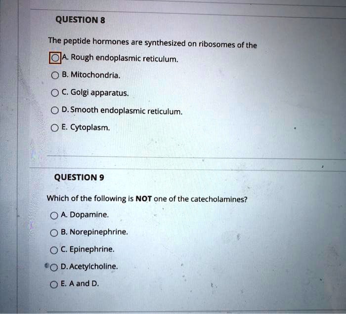 SOLVEDQUESTION 8 The peptide hormones are synthesized on ribosomes of