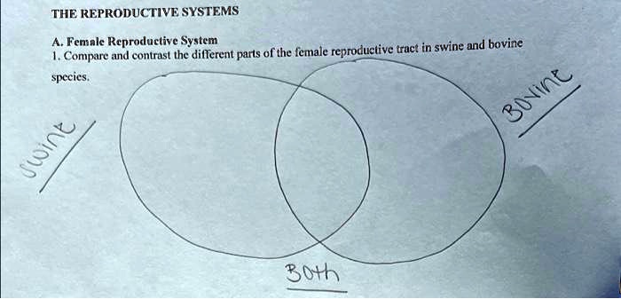 SOLVED: By drawing a Venn diagram, could you please compare and
