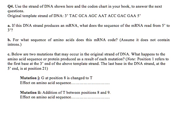 SOLVED: Use the strand of DNA shown here and the codon chart in your ...