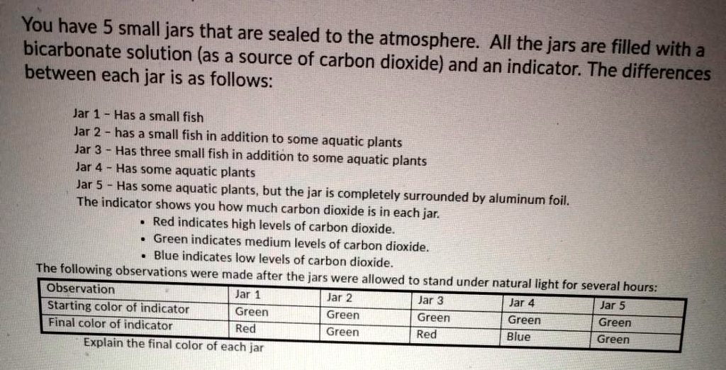 SOLVED You have 5 small jars that are sealed to the atmosphere with