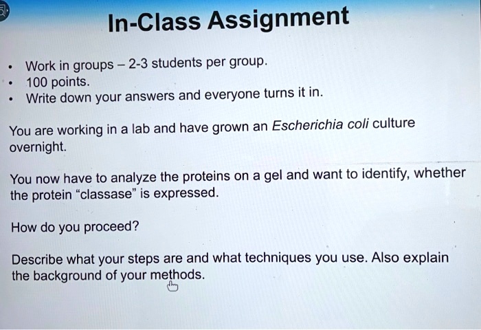 In-Class Assignment

Work in groups - 2-3 students per group.
100 points.
Write down your answers and everyone turns it in.

You are working in a lab and have grown an Escherichia coli culture overnight.

You now have to analyze the proteins on a gel and want to identify, whether the protein "classase" is expressed.

How do you proceed?

Describe what your steps are and what techniques you use. Also explain the background of your methods.