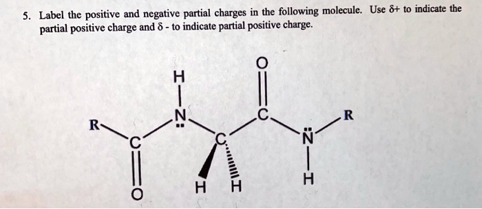 solved-label-the-positive-and-negative-partial-charges-in-the