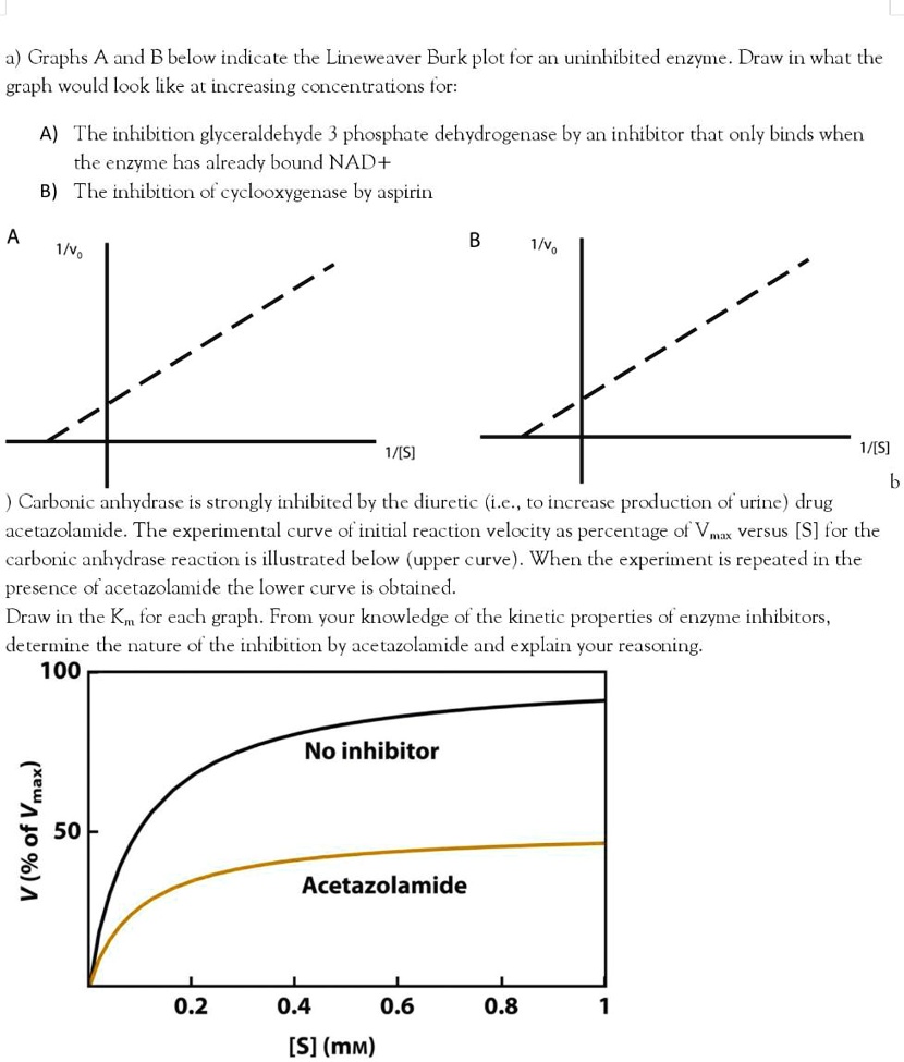 SOLVED a Graphs A and B below indicate the Lineweaver Burk plot for an uninhibited enzyme.Draw