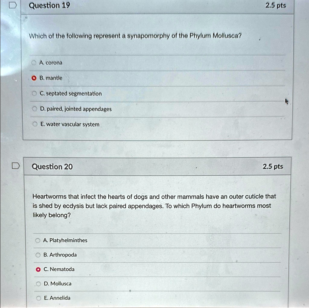 SOLVED: Question 19 2.5pts Which of the following represent a