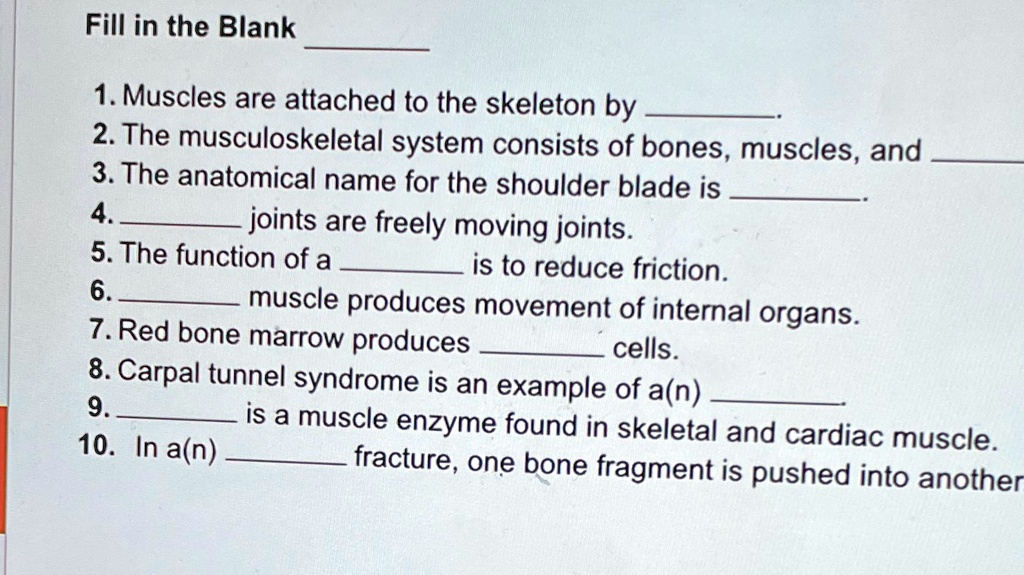 fill in the blank muscles are attached to the skeleton by the ...