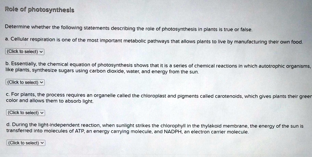SOLVED TRUE OR FALSE Role of photosynthesis Determine whether the following statements
