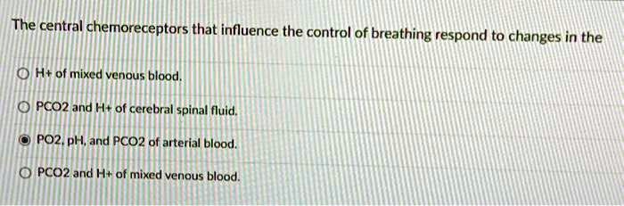 Pals Breathing What Your Central Chemoreceptors Really Do - ctqhhms
