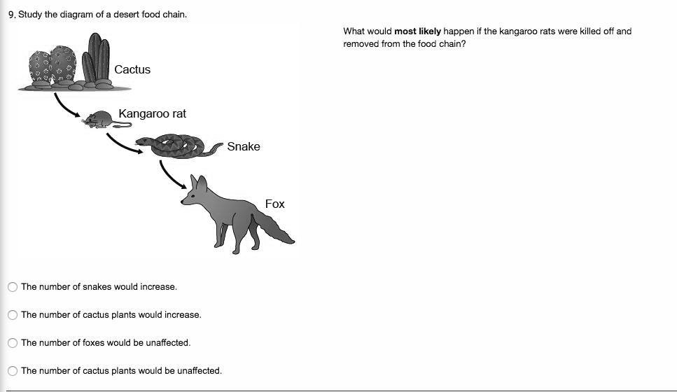 SOLVED: 'I will mark brainliest 9. Study the diagram of a desert food chain.  What would most likely happen if the kangaroo rats were killed off and  removed from the food chain?