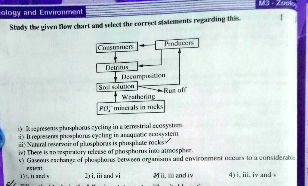 cology and Environment
Study the given flow chart and select the correct statements regarding this.
Consunmers
Producers
M3-Zoolo
Detritus
Decomposition
Soil solution
Weathering
PO4^3- minerals in rocks
Run off
i) It represents phosphorus cycling in a terrestrial ecosystem
ii) It represents phosphorus cycling in anaquatic ecosystem
iii) Natural reservoir of phosphorus is phosphate rocks?
iv) There is no respiratory release of phosphorus into atmospher.
v) Gaseous exchange of phosphorus between organisms and environment occurs to a considerable
extent.
1) i, ii and v
2) i, iii and vi
3) ii, iii and iv
4) i, iii, iv and v