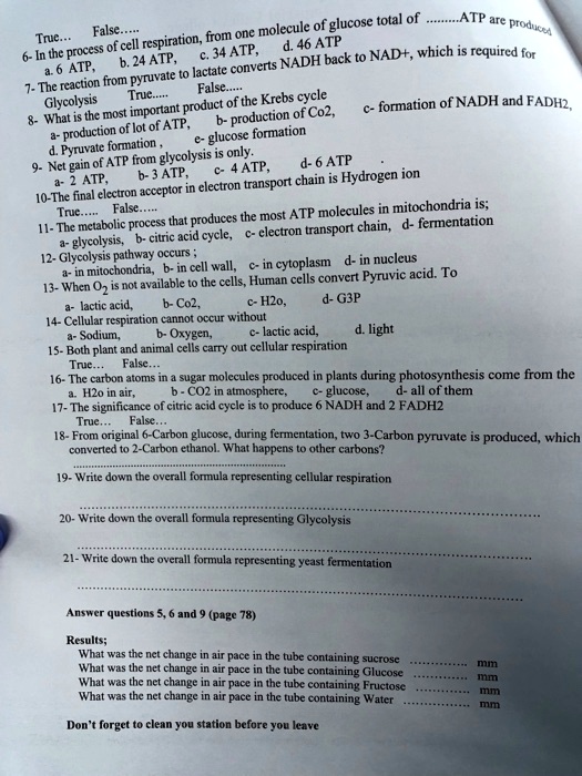 True... False.....
6- In the process of cell respiration, from one molecule of glucose total of .........ATP are produced
a. 6 ATP, b. 24 ATP, c. 34 ATP, d. 46 ATP
7- The reaction from pyruvate to lactate converts NADH back to NAD+, which is required for Glycolysis True..... False.....
8- What is the most important product of the Krebs cycle
a- production of lot of ATP, b- production of Co2, c- formation of NADH and FADH2, d. Pyruvate formation , e- glucose formation
9- Net gain of ATP from glycolysis is only.
a- 2 ATP, b- 3 ATP, c- 4 ATP, d- 6 ATP
10-The final electron acceptor in electron transport chain is Hydrogen ion
True..... False.....
11- The metabolic process that produces the most ATP molecules in mitochondria is;
a- glycolysis, b- citric acid cycle, c- electron transport chain, d- fermentation
12- Glycolysis pathway occurs ;
a- in mitochondria, b- in cell wall, c- in cytoplasm d- in nucleus
13- When O2 is not available to the cells, Human cells convert Pyruvic acid. To
a- lactic acid, b- Co2, c- H2o, d- G3P
14- Cellular respiration cannot occur without
a- Sodium, b- Oxygen, c- lactic acid, d. light
15- Both plant and animal cells carry out cellular respiration
True... False...
16- The carbon atoms in a sugar molecules produced in plants during photosynthesis come from the
a. H2o in air, b - CO2 in atmosphere, c- glucose, d- all of them
17- The significance of citric acid cycle is to produce 6 NADH and 2 FADH2
True... False...
18- From original 6-Carbon glucose, during fermentation, two 3-Carbon pyruvate is produced, which converted to 2-Carbon ethanol. What happens to other carbons?
.......................................................................................
19- Write down the overall formula representing cellular respiration
.......................................................................................
20- Write down the overall formula representing Glycolysis
.......................................................................................
21- Write down the overall formula representing yeast fermentation
.......................................................................................
Answer questions 5, 6 and 9 (page 78)
Results;
What was the net change in air pace in the tube containing sucrose ..................... mm
What was the net change in air pace in the tube containing Glucose ..................... mm
What was the net change in air pace in the tube containing Fructose ..................... mm
What was the net change in air pace in the tube containing Water ..................... mm
Don't forget to clean you station before you leave