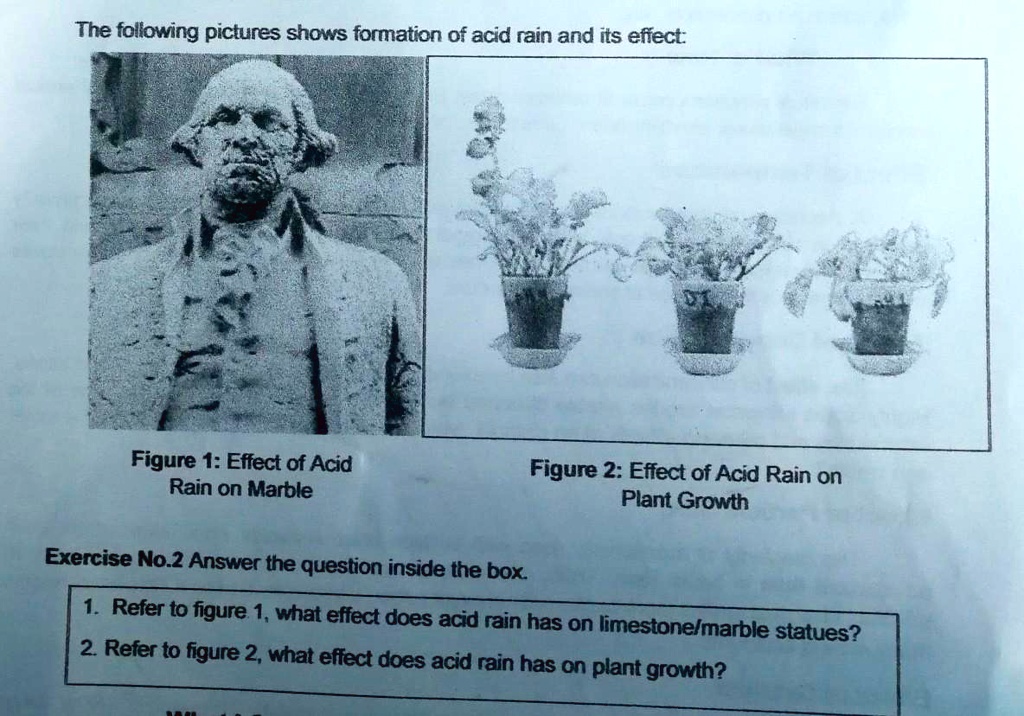VIDEO solution 1. Refer to figure 1, what effect does acid rain have on limestone/marble
