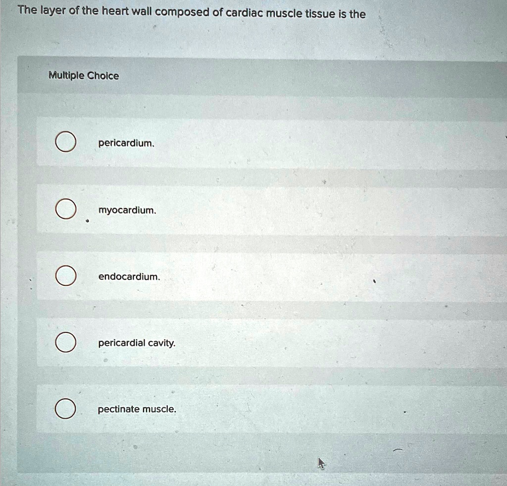SOLVED The layer of the heart wall composed of cardiac muscle tissue