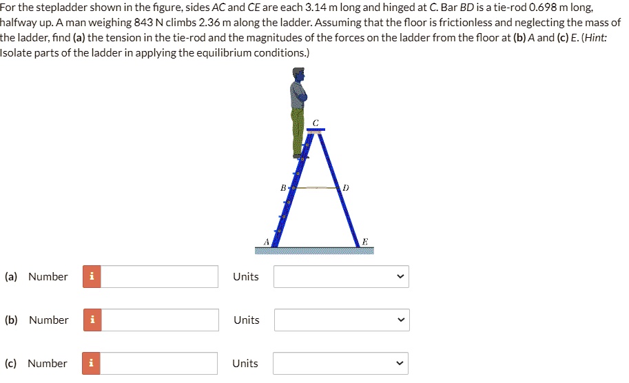 For The Stepladder Shown In The Figure; Sides AC And … - SolvedLib