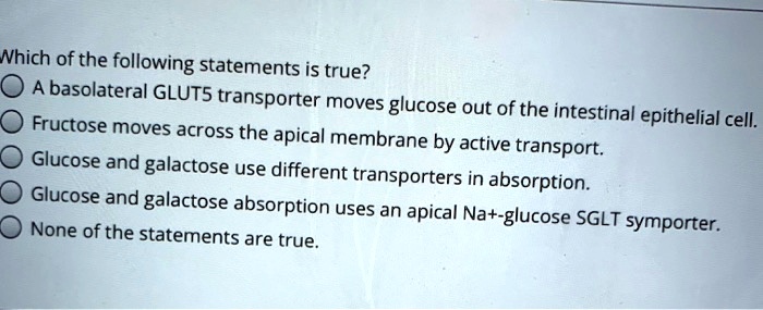 Which Of The Following Statements Regarding Glucose Absorption Is True SOLVED: Nhich of the following statements is true? basolateral GLUTS