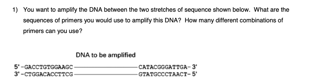 SOLVED: You want to amplify the DNA between the two stretches of ...