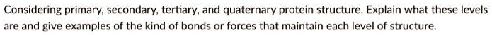 Considering primary, secondary, tertiary, and quaternary protein structure. Explain what these levels
are and give examples of the kind of bonds or forces that maintain each level of structure.