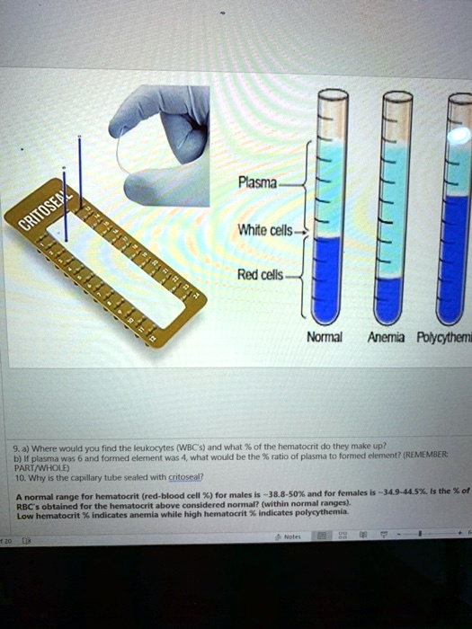 solved-plasma-whre-cells-red-cells-normal-ancmia-pblycythen-mdc-could