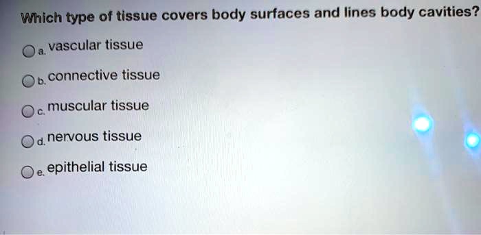 Which type of tissue covers body surfaces and lines body cavities?
a. vascular tissue
b. connective tissue
c. muscular tissue
d. nervous tissue
e. epithelial tissue
