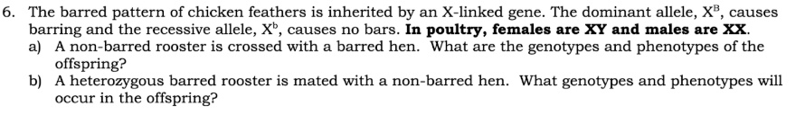 6 the barred pattern of chicken feathers is inherited by an x linked gene the dominant allele xb causes barring and the recessive allele xb causes no bars in poultry females are xy and males 76999