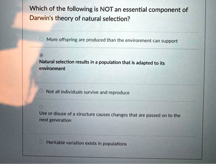 Which of the following is NOT an essential component of Darwin's theory of natural selection?
More offspring are produced than the environment can support
Natural selection results in a population that is adapted to its environment
Not all individuals survive and reproduce
Use or disuse of a structure causes changes that are passed on to the next generation
Heritable variation exists in populations