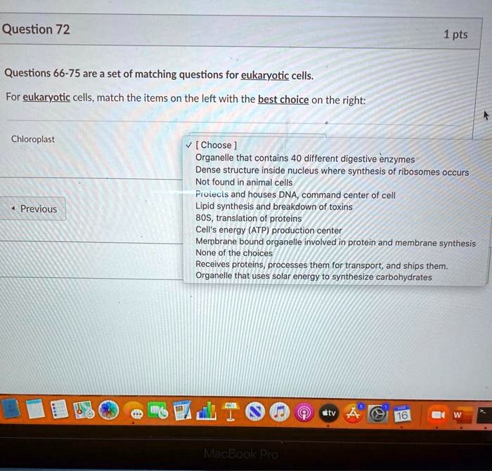 Questions 66-75 are a set of matching questions for eukaryotic cells.
For eukaryotic cells, match the items on the left with the best choice on the right:

Chloroplast
[ Choose ]
Organelle that contains 40 different digestive enzymes
Dense structure inside nucleus where synthesis of ribosomes occurs
Not found in animal cells
Protects and houses DNA, command center of cell
Lipid synthesis and breakdown of toxins
80S, translation of proteins
Cell's energy (ATP) production center
Membrane bound organelle involved in protein and membrane synthesis
None of the choices
Receives proteins, processes them for transport, and ships them.
Organelle that uses solar energy to synthesize carbohydrates