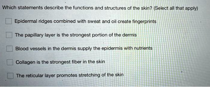 Which Of The Following Statements Is True About The Skin Which statements describe the functions and structures of the skin