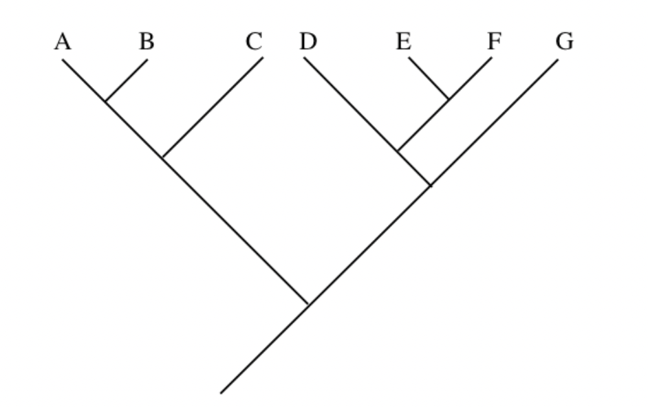 SOLVED Refer to the tree pictured above. Letters (shown